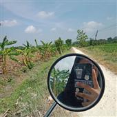 Mẹo
