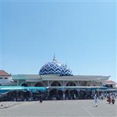 tố 