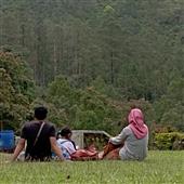 Đấu