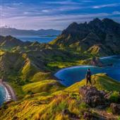 Sự 