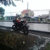 Fli