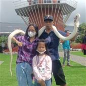 ONL