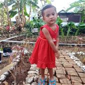 Bữa