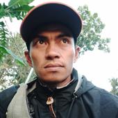 Trậ