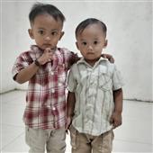 Mứt