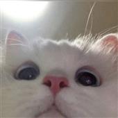 Tra