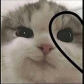 Giả