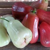 Dự 