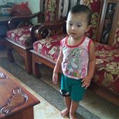 Giả