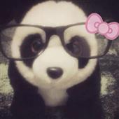 Bản