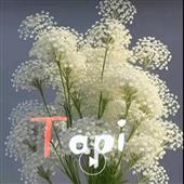TIỆ