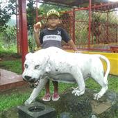 Dự 