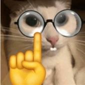 Máy