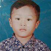 Gấu
