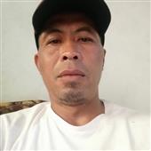 Gấu