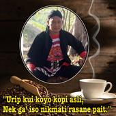 Giả
