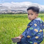 Lịc