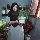 Ngô