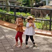 Gậy