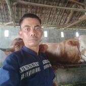 Vàn