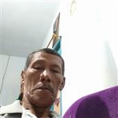 Giả