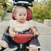 Bản