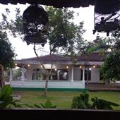 Thự
