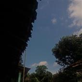 Đội
