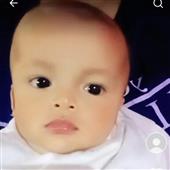 Vệ 
