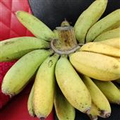 Sự 