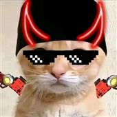 Gam
