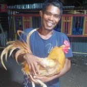 Nêu