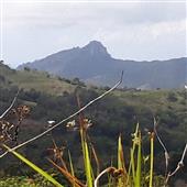 Ngọ