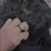Vid