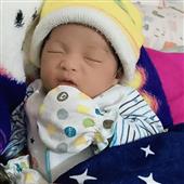 Mục