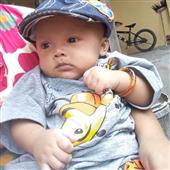 Fli