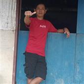 Giả