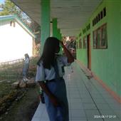 Gấu
