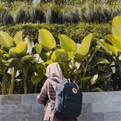 Bầu