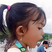 Phỉ