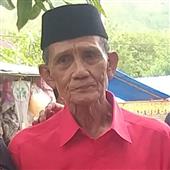 Săn