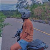 Giả