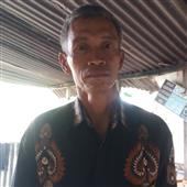 Ngộ
