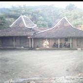 Xem