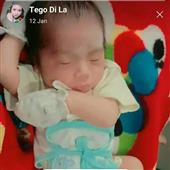 Vịn