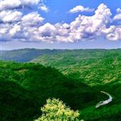 Luậ