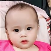 Lợi