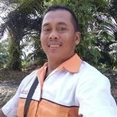 Bản