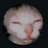 72 