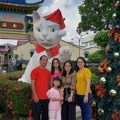 Xếp